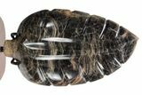 Polished Black Moonstone Leaf with Stand - Madagascar #355272-2